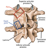 facet joint treatment